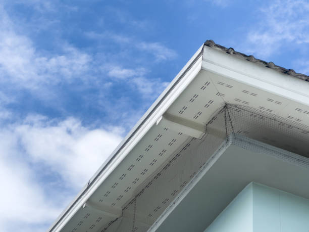 gutter guard installation